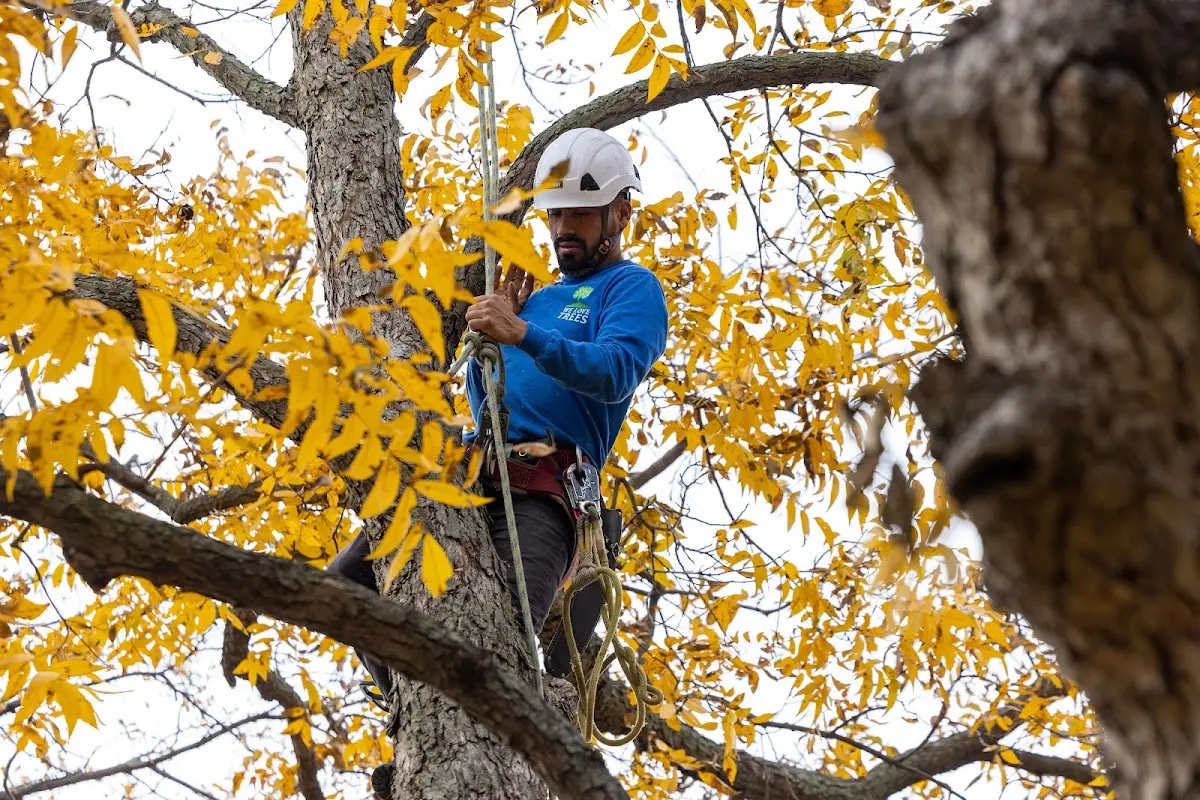 Skilled Storm Damage Cleanup crew working in Barksdale Afb