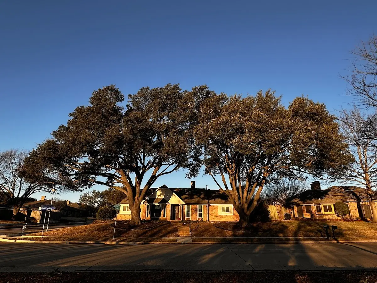 Established residential canopy tree shading a home in Barksdale Afb