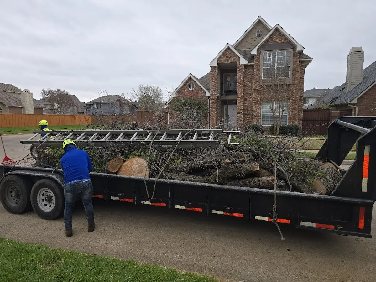 Expert Tree Removal with proper safety equipment in Barksdale Afb